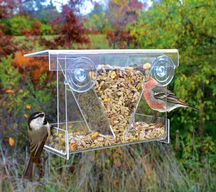 Clear View Hopper Window Feeder Wild About Birds