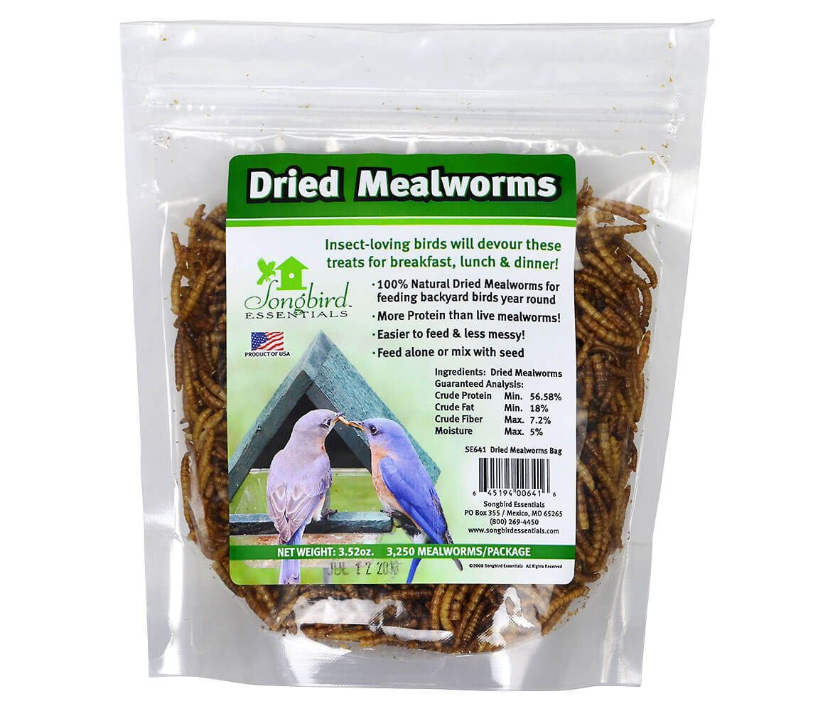 Live Mealworms for Birds