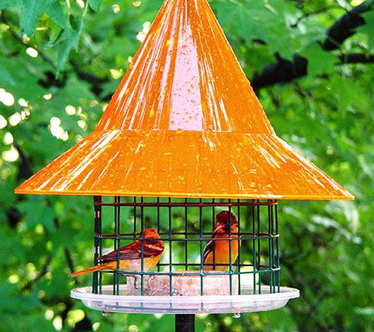 Sky Cafe Oriole Feeder Wild About Birds