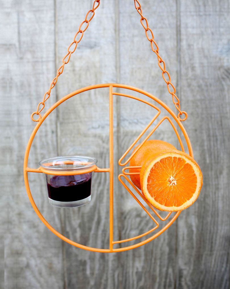 Make an Orange Feeder for Orioles