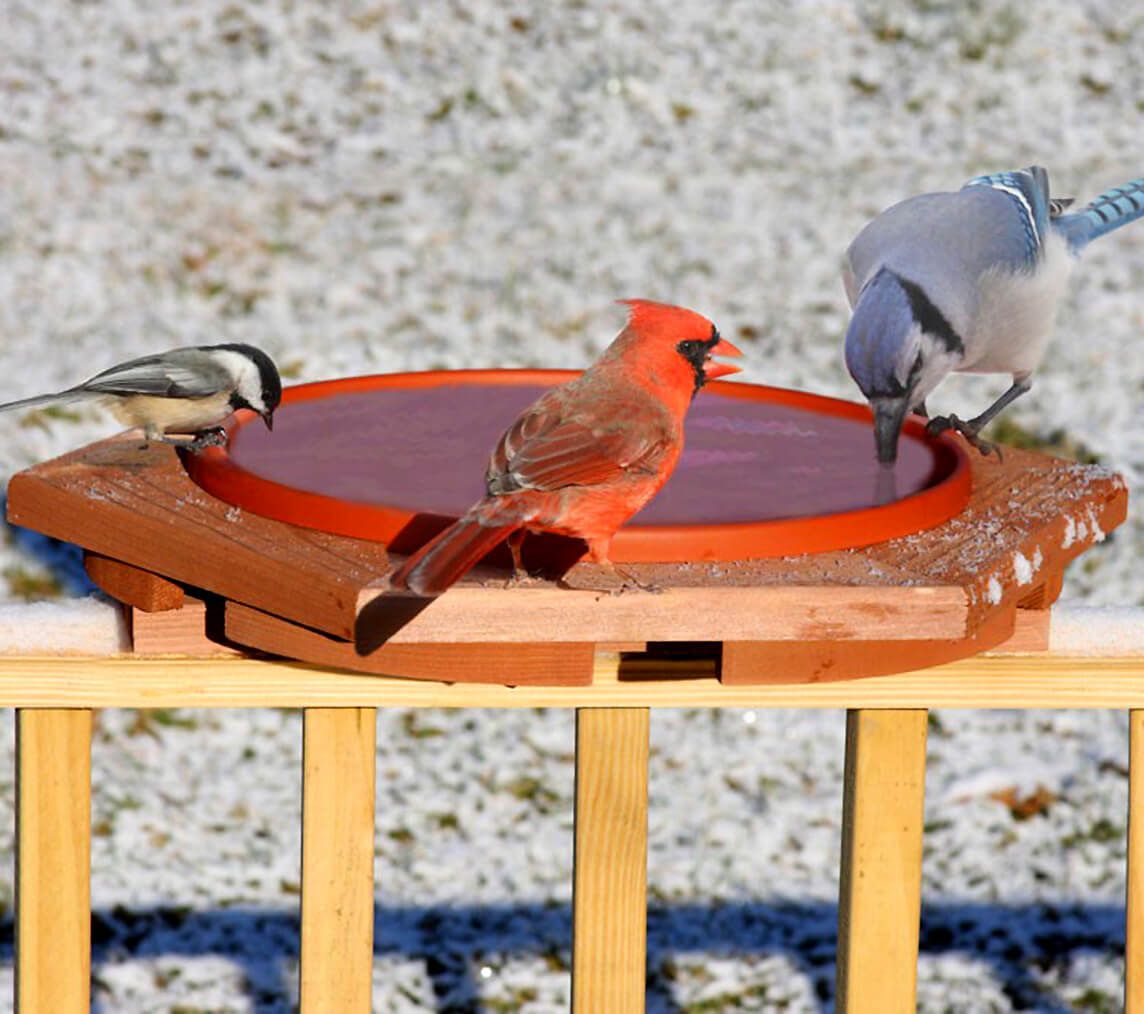 heated bird baths near me